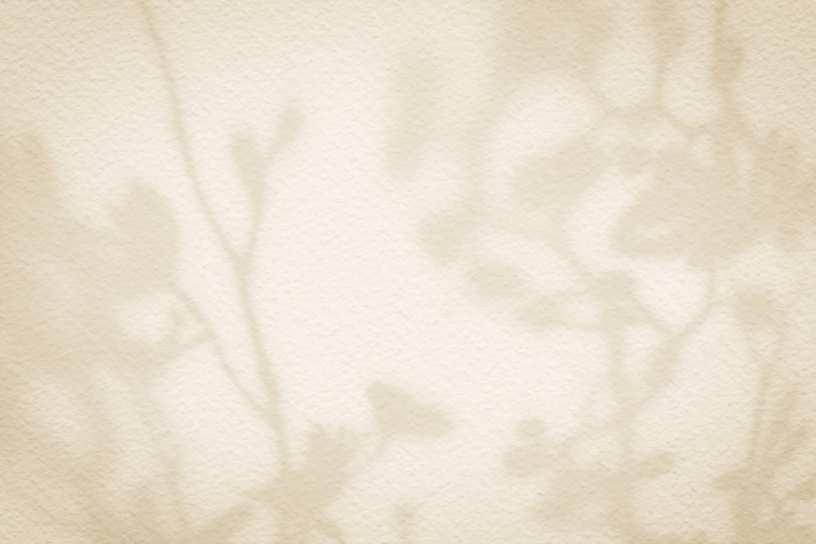 a beige wall with shadows of plants