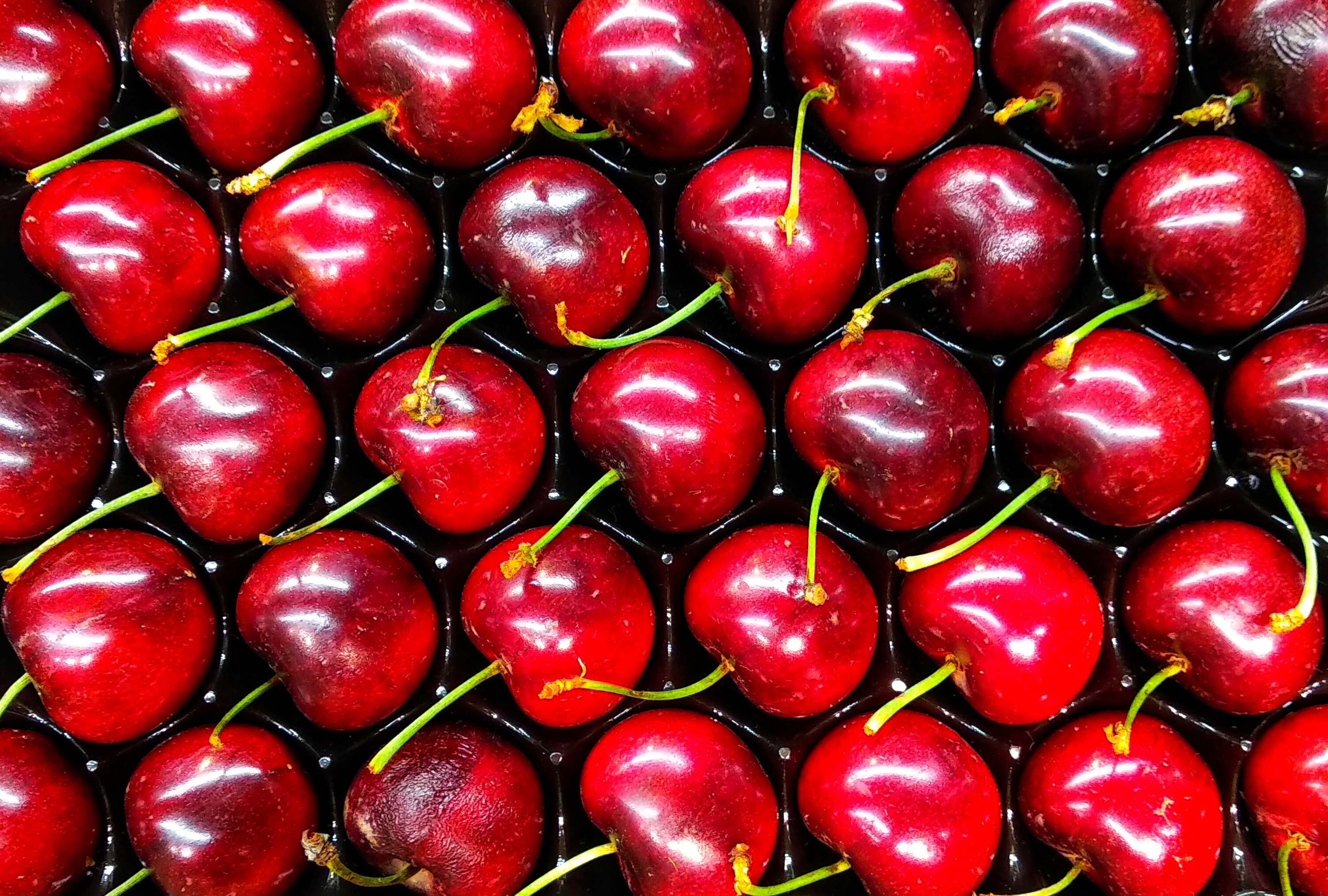 Charming Cherries Entertainment