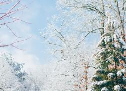 Photograph of a snowy landscape.