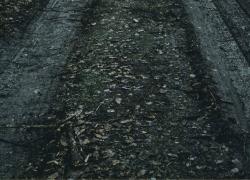 Muddy dirt road with tire tracks