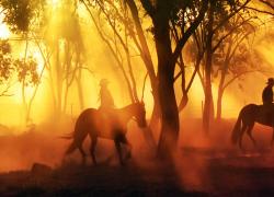 Ride into a new season of Yellowstone…
