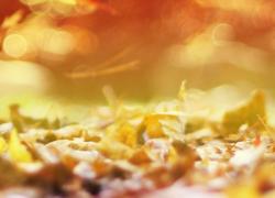 Fall flavors await…