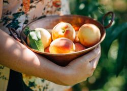 peach season cocktails