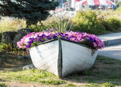 Maine boat with flowers