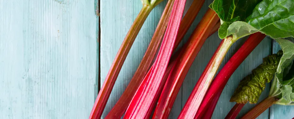 Maine Rhubarb Cocktails