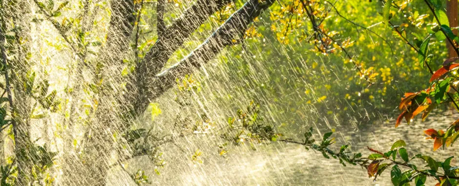 April showers bring New Spirits