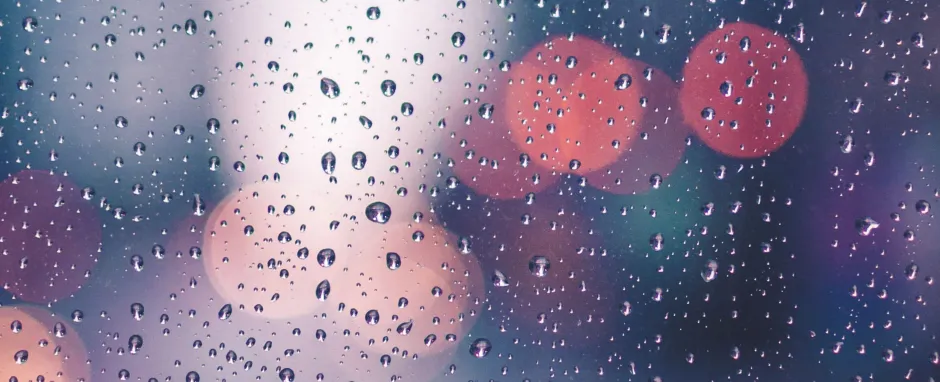 Rainy Windsheild