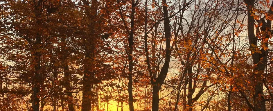 Sunset in Maine