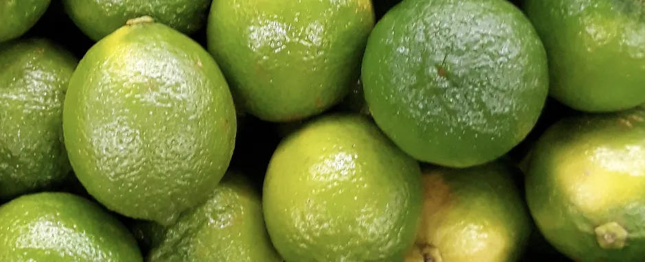 Alotta limes
