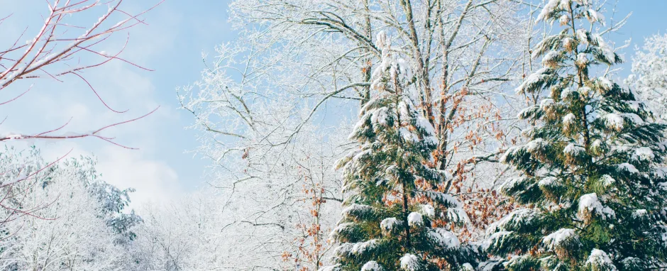 Photograph of a snowy landscape.