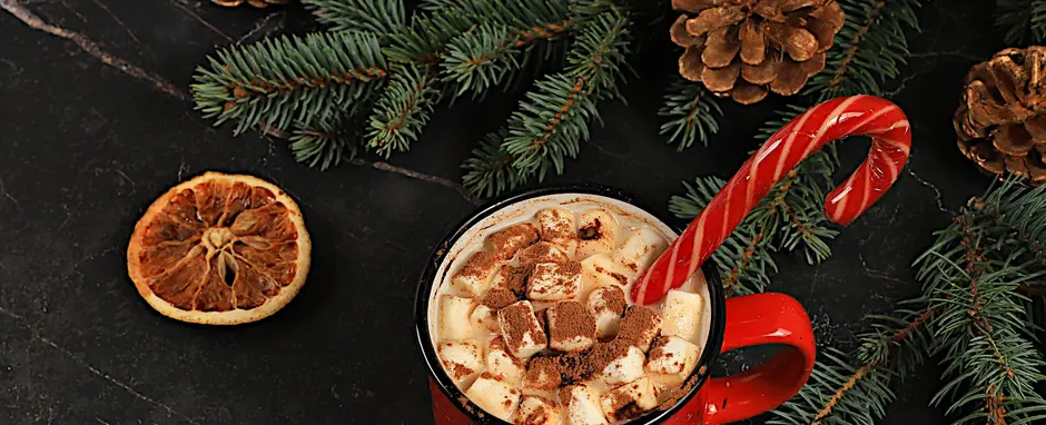 Stir, Shake, and Share Some Cheer 🎄🍸
