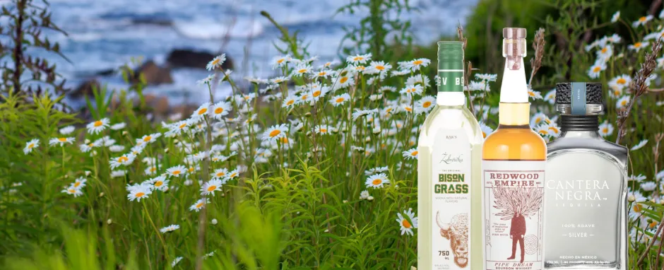 New season means new spirits!