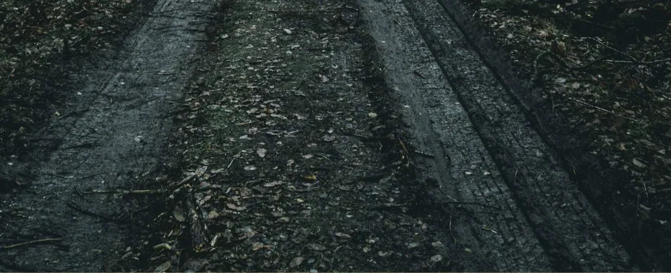 Muddy dirt road with tire tracks