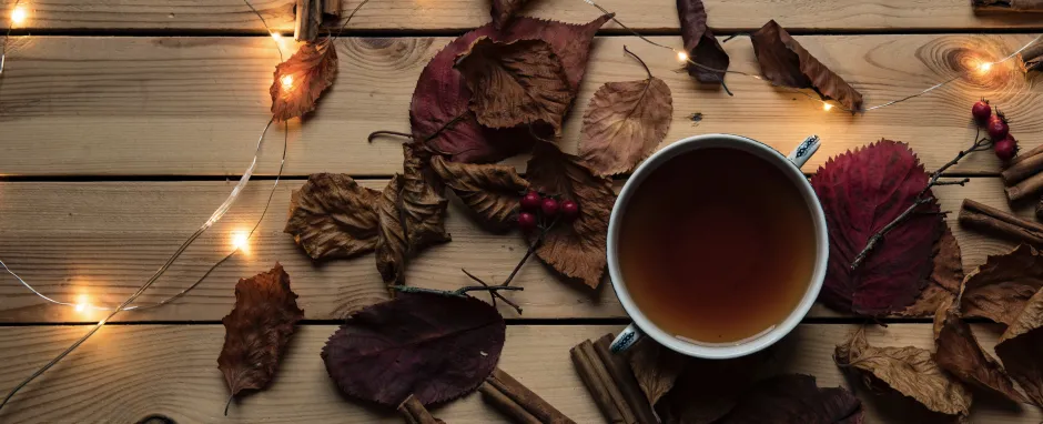 Cinnamon, Nutmeg and Ginger-Infused Cocktails