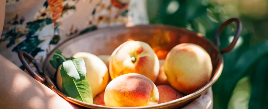 peach season cocktails