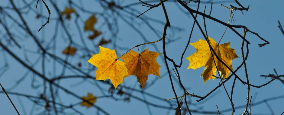 November in Maine