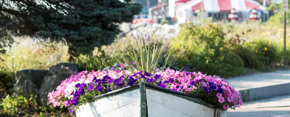Maine boat with flowers