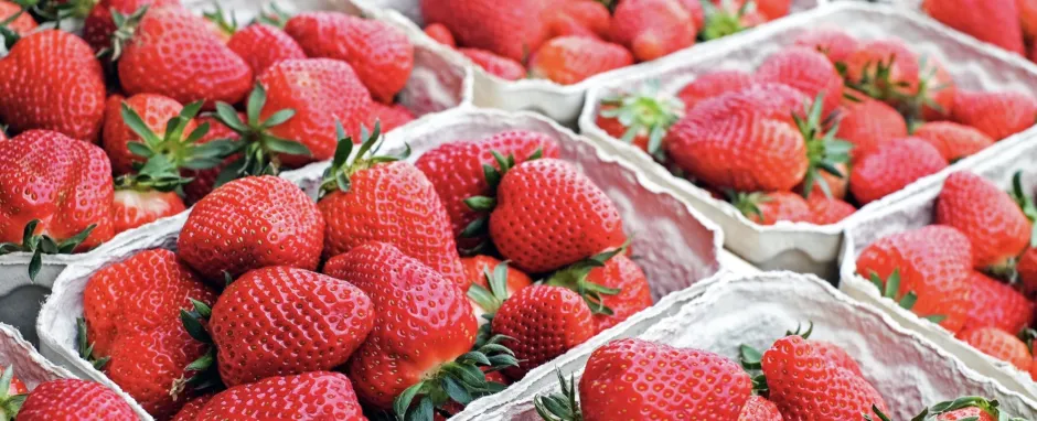 pints of fresh picked strawberries