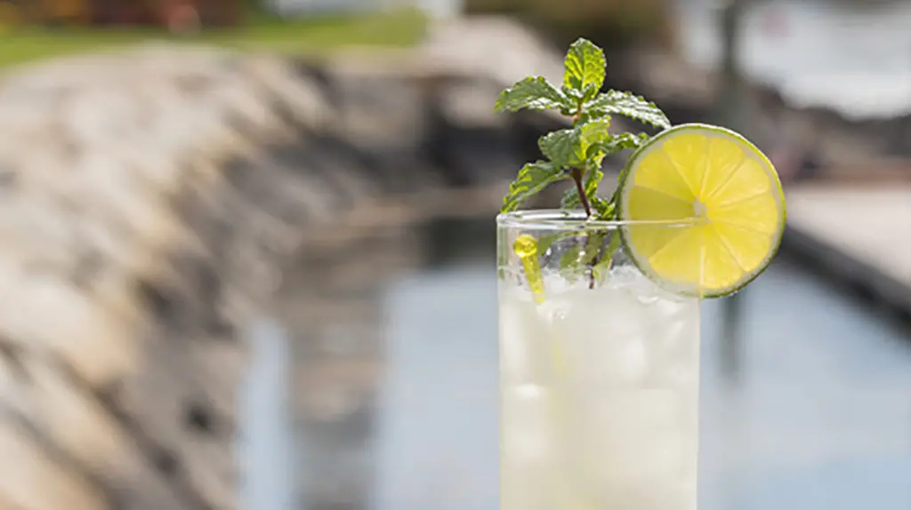 Coconut Mojito