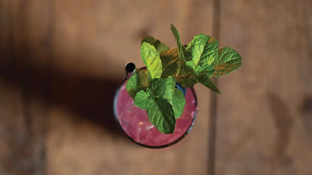 Maine Wiggly Mojito