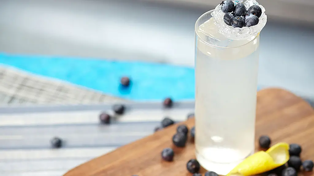 Blueberry Vodka & Soda