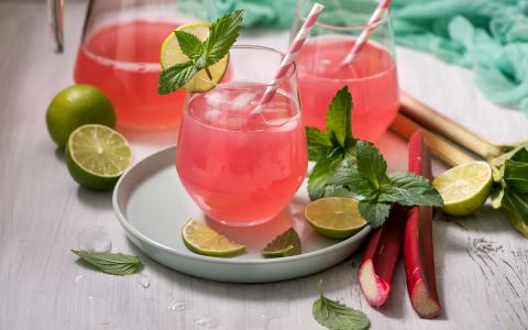 Rhubarb Gin Rickey