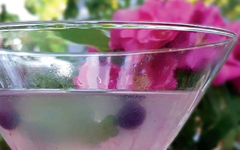 Blueberry Limoncello Martini