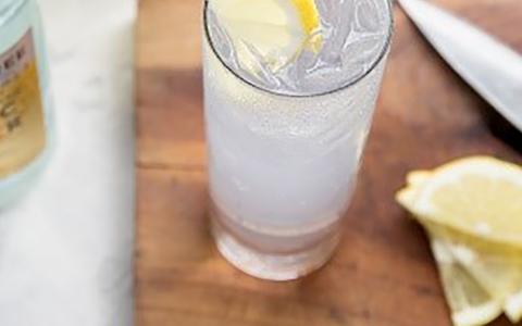 Classic Gin and Tonic