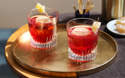 Cranberry Bourbon Fizz