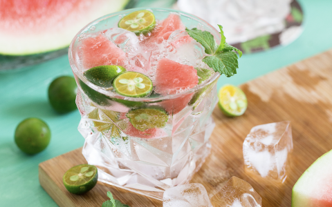 Watermelon Mojito