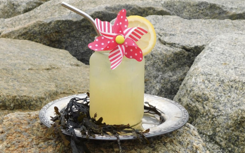 Vena's Seaweed Lemonade
