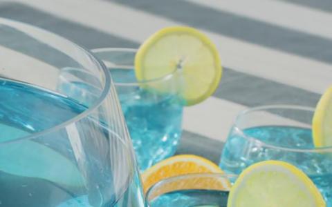 Shark Bite Punch