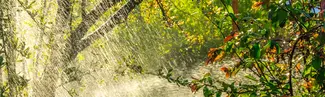 April showers bring New Spirits