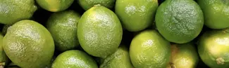 Alotta limes