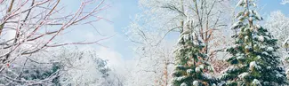 Photograph of a snowy landscape.
