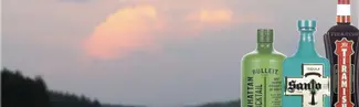 Three bottles of liquor on a sunset background