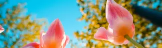 Shake up Spring vibes!