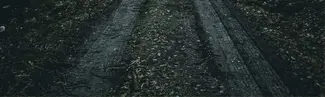 Muddy dirt road with tire tracks