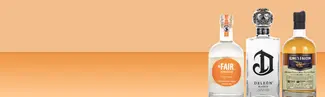 Liquor on an orange background