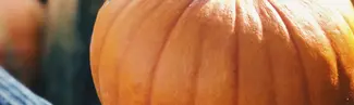 Pumpkin to talk about! Spice things up with these recipes. 