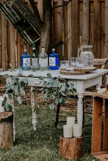 gin tasting party