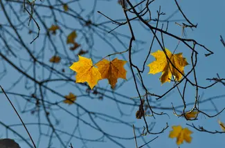 November in Maine