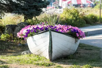 Maine boat with flowers