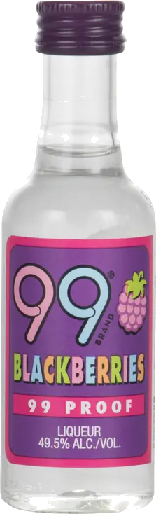 99 BLACKBERRIES SCHNAPPS