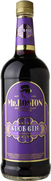 MR BOSTON SLOE GIN