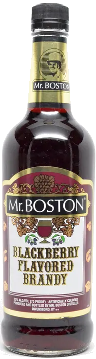 MR BOSTON BLACKBERRY BRANDY