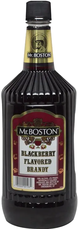 MR BOSTON BLACKBERRY BRANDY TRV