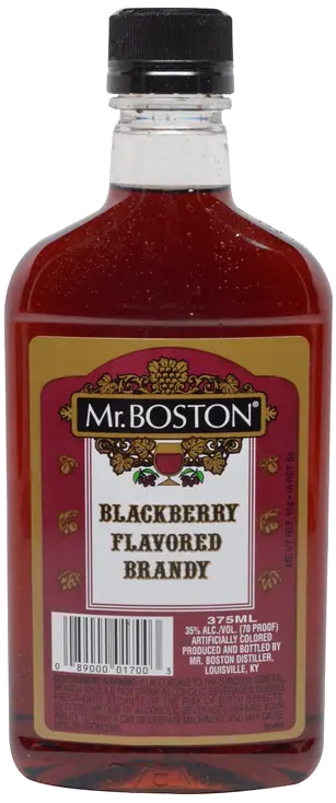 MR BOSTON BLACKBERRY BRANDY