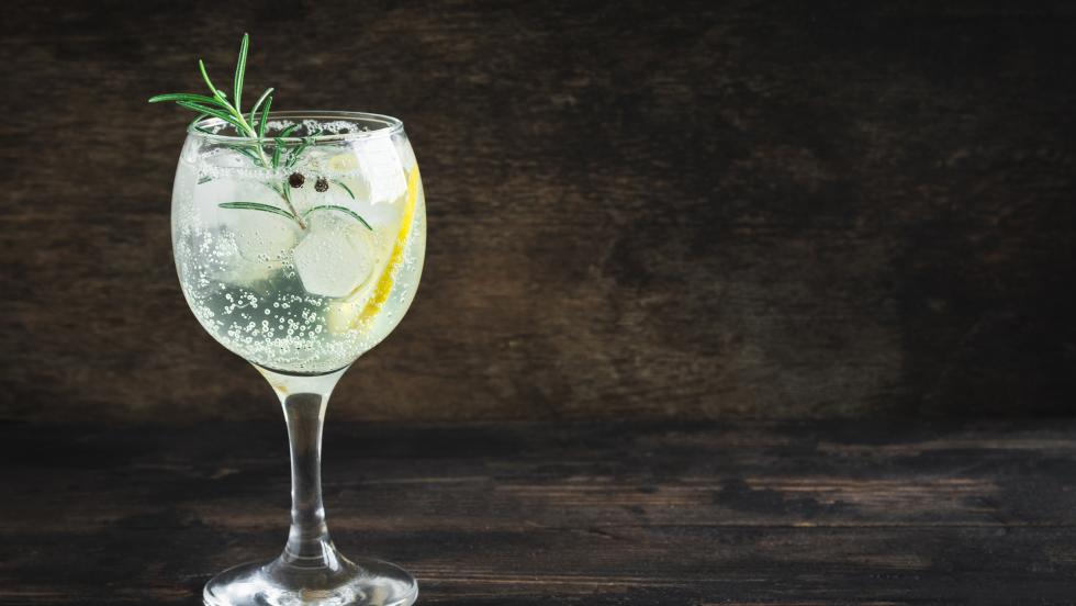 Spanish Gin and Tonic (Gin Tonica) Recipe