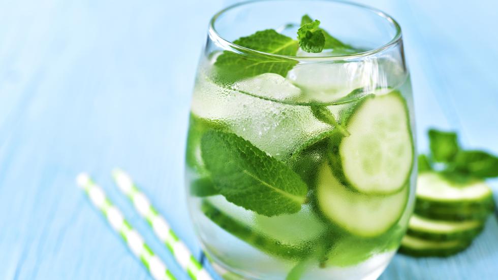 Fresh Cucumber Gin Mojito | Maine Spirits